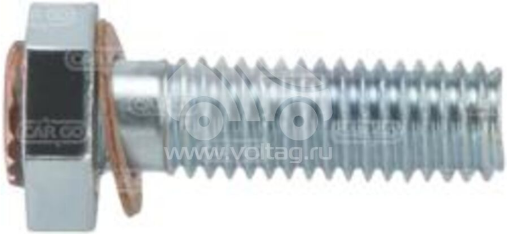 картинка 234449 от магазина Одежда+